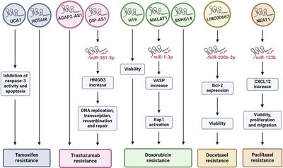 Exosomal lncRNAs as regulators of breast cancer chemoresistance and metastasis and their potential use as biomarkers